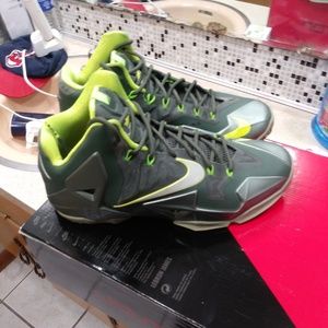 Lebron 11 dunkman
